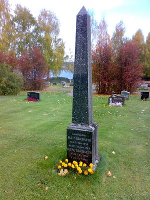 Grav landhandler Blichseth avstandsbilde.jpg