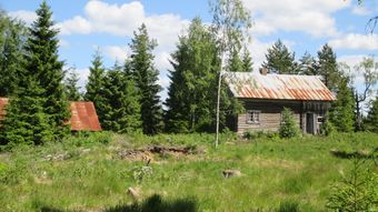 Gravlia nedre under Sidselrud Kongsvinger kommune 1 2014.jpg