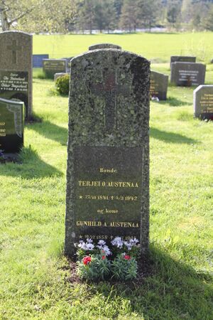 Gravminne Terjei O og Gunhild A Austenå 1841-1942 Tovdal.JPG