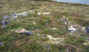 Gravrøys på Hjartøy.jpg