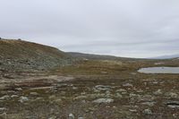Plasseringa av anlegget mellom Gravranden og tjønna Foto: Arnfinn Kjelland (2018)