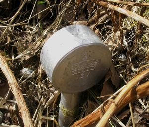 Grensemerke JSV 2005.jpg