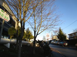 Grevlingveien Oslo 2015.jpg