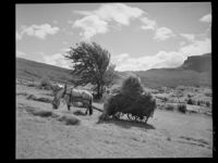 44. Grindaheim - no-nb digifoto 20150213 00139 NB MIT FNR 07553.jpg