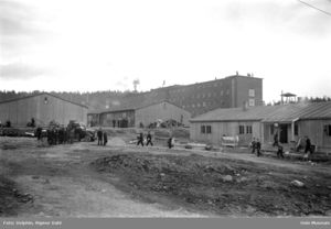 Grini fangeleir 10. mai 1945.jpg