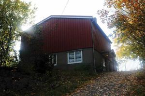 Groenlia velhus Loerenskog LL063.jpg