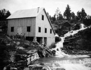 Grona molle 1933.jpg