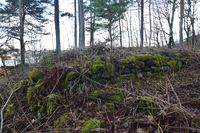 100. Grunnmuren av den lille isstbelen på Graffodden desember 2020(N0004).JPG