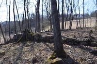 99. Grunnmuren av den store isstbelen på Graffodden desember 2020(N0003).JPG