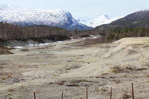 Grusgropa Bjorli.jpg