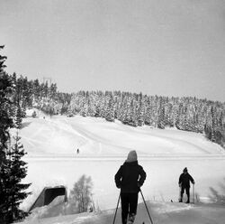 Gryta med undergang under E6, sett fra øst vinterstid. Foto Gunnar Søderstrøm.