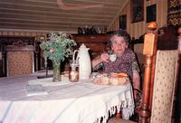 Gudrun i stua si på Holmen ved Blylagdammen ca 1990. Foto: Ellen Iversen