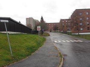 Gunnulvs vei Oslo 2013.jpg