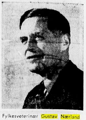 Gustav Nærland (NB).JPG