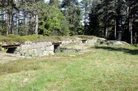 Brystvern og siktebord. Foto: Tommy Gildseth (2010).