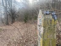 Gammel adkomst (allé) til Gyssestad gård fra østsiden, parallelt med dagens E18. Foto: Stig Rune Pedersen (2023)