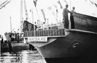 M/F Haalogaland er gått av stabelen 17. juli 1954. Vi ser tydelig "hodene" på klinknaglene på fergas skuteside. Foto ukjent, utlånt av Anny Sørensen