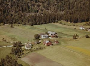 Håre i Bingen (WF504).jpg