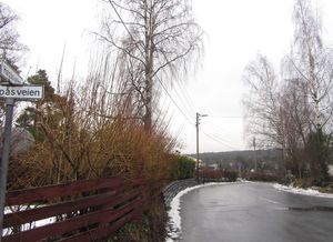 Høgåsveien Oslo 2014.jpg