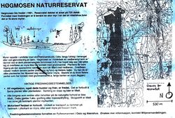 Høgmosen naturreservat fredet 1981.