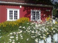 Foto: «Ave» (2014)