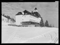 77. Høsbjør - no-nb digifoto 20150206 00050 NB MIT FNR 15882.jpg