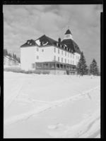 78. Høsbjør - no-nb digifoto 20150206 00051 NB MIT FNR 15885.jpg