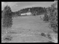 182. Høsbjør - no-nb digifoto 20151130 00291 NB MIT FNR 14124.jpg