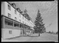 178. Høsbjør - no-nb digifoto 20151130 00437 NB MIT FNR 14259.jpg