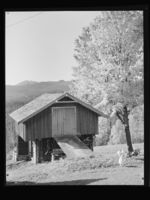 10. Høst - no-nb digifoto 20150116 00242 NB MIT FNR 21538.jpg