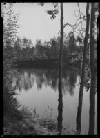 195. Høstmotiv - no-nb digifoto 20151020 00232 NB MIT FNR 03013.jpg