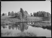 187. Høstmotiv - no-nb digifoto 20151020 00264 NB MIT FNR 03009.jpg