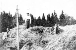 Høykjøring på Gunhildrud (oeb-195853).jpg