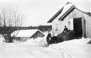 Høykjøring på vinterføre ved Flårud på Fiskum (oeb-181748).jpg