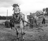 Høyonn på "Vel'tdøl'garden", offisielt Stenkloppen