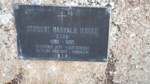 Haavald Ilstad.jpg