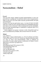 260. Hafsal i Vang - navnestudium.jpeg