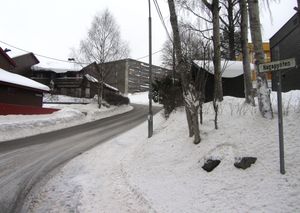 Hagapynten Oslo 2014.jpg