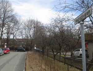 Hagtornveien Oslo 2013.jpg