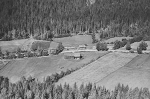Hakestuen under Øiset nedre Øiset i Kongsvinger kommune 1956.jpg