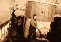 Erling Bjørneset halar garn frå dei som tinar sild. Så går garna til garnbingen bak kaisinga.