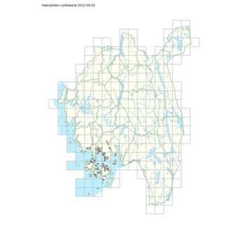 Halerpestes cymbalaria 1.png