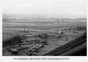 Hall III fly skadd.jpg