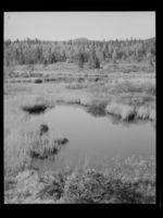 12. Hallingdal - no-nb digifoto 20150102 00069 NB MIT FNR 21013.jpg