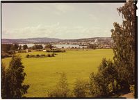 220. Hamar. - no-nb digifoto 20160519 00037 NB NKF P 05 A 042.jpg