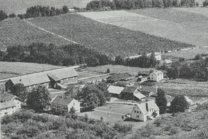 Hammastad Totenvika.png