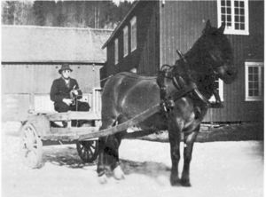 Handletur med hest og langvogn.jpg