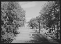 255. Hankø - no-nb digifoto 20151118 00003 NB MIT FNR 16172.jpg