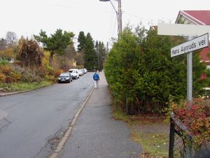 Hans Aanruds vei Oslo 2013.jpg