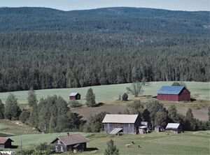 Hansrud Brandval vestside låven 1962.jpg